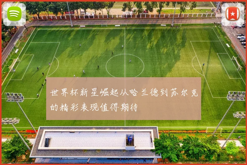 世界杯新星崛起从哈兰德到苏尔克的精彩表现值得期待
